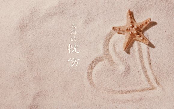 什么茶是网红